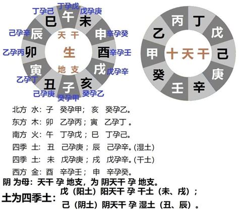 庚金 乙木|十干精粹——乙木（四）